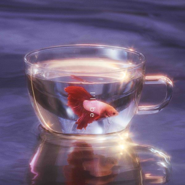 Sincere、新曲「I’ll be」配信リリース＆ラジオ初オンエアが決定