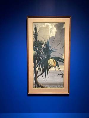 『田中一村展　奄美の光 魂の絵画』レポート　300点超の作品で明かされる“孤高の画家”の実像