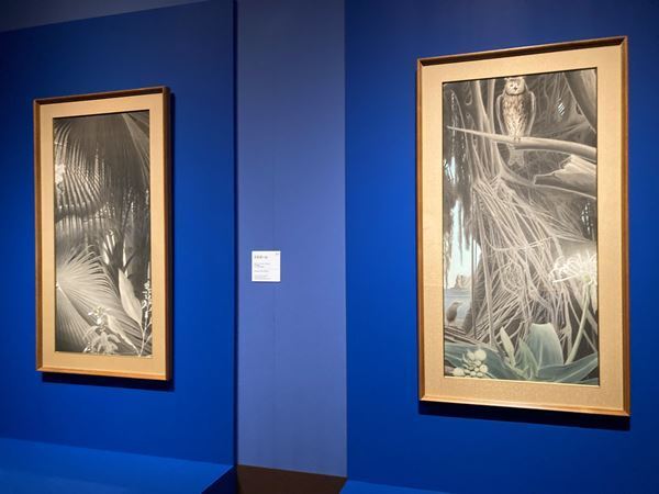 『田中一村展　奄美の光 魂の絵画』レポート　300点超の作品で明かされる“孤高の画家”の実像