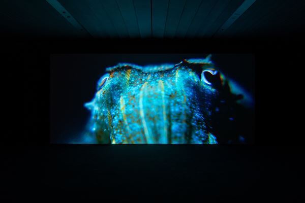 『フィリップ・パレーノ：この場所、あの空』開催中　箱根・ポーラ美術館の建築や立地をいかしたサイトスペシフィックな展覧会