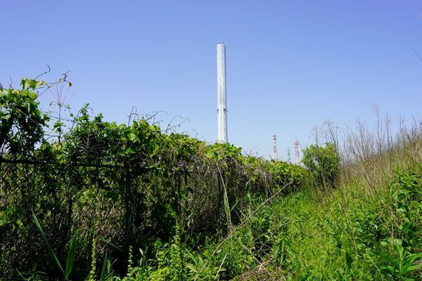 『ICC アニュアル 2024　とても近い遠さ』6月22日(土)から　パンデミック以後の意識の変化を通して「遠さ」と「近さ」について考える