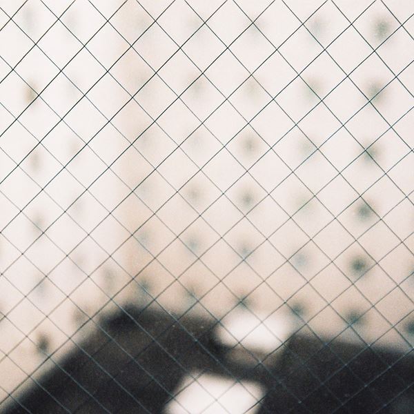 揺らぎ、ニューアルバムから「Love You My Dear」をデジタル配信　ツアー東京公演のゲストにTHE NOVEMBERS