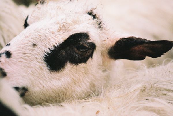 開催60周年を迎えた『今日の作家展』　 2024年は90年代生まれのふたりの作家を紹介