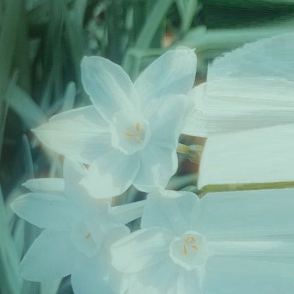 hardnuts、3rd single『waypoint』リリース決定