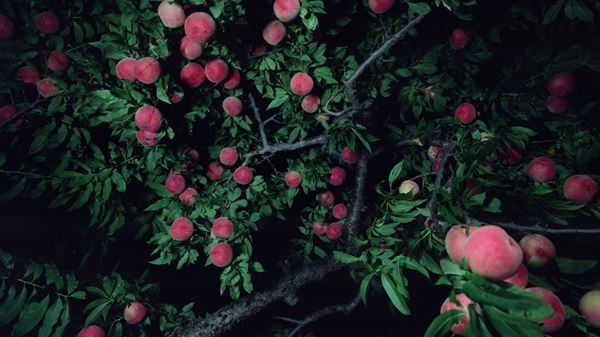 束芋、やなぎみわ、森山未來らが参加『阪神・淡路大震災30年　企画展　1995 ⇄ 2025　30年目のわたしたち』兵庫県立美術館で