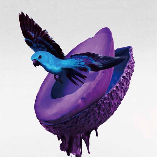 神はサイコロを振らない、ニューアルバム『心海』全曲トレーラー映像公開　柳田周作のメッセージも