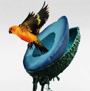 神はサイコロを振らない、ニューアルバム『心海』全曲トレーラー映像公開　柳田周作のメッセージも