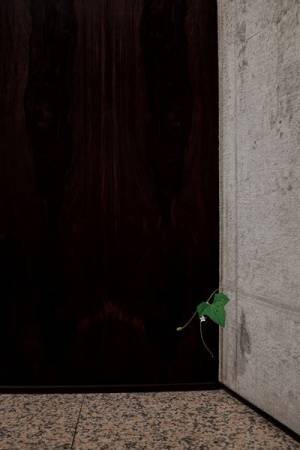 草花の木彫作品で知られる須田悦弘の個展が渋谷区立松濤美術館で　初期作品や古美術品の「補作」、新作も公開