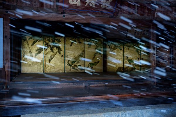 写真家・十文字美信の個展が資生堂ギャラリーで　大乗寺客殿を撮り下ろした写真を大型インスタレーションで展開