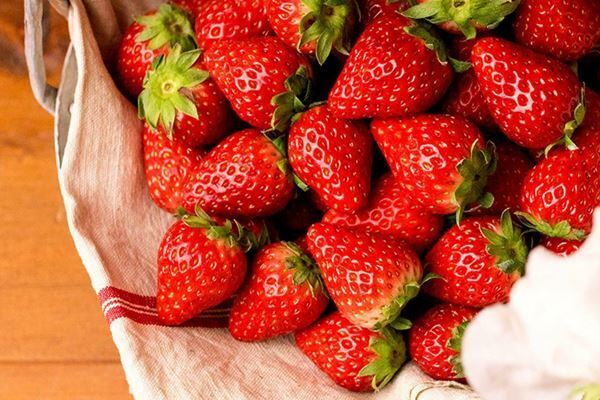 店舗限定タルトも！　キル フェ ボン『2024 VERY STRAWBERRY』イチゴタルト全種紹介