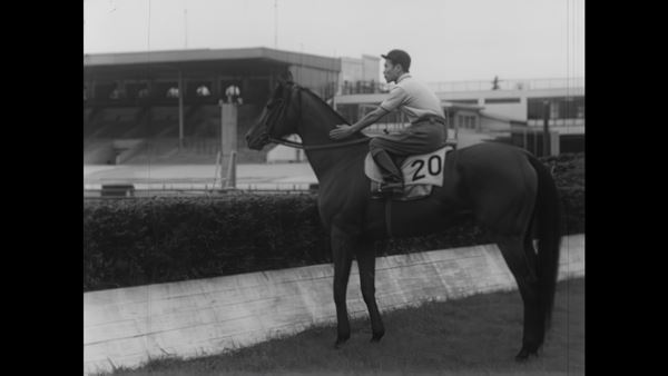 第1回は寺山修司特集『TBSレトロスペクティブ映画祭』開催決定　ビジュアル＆予告編＆場面写真公開