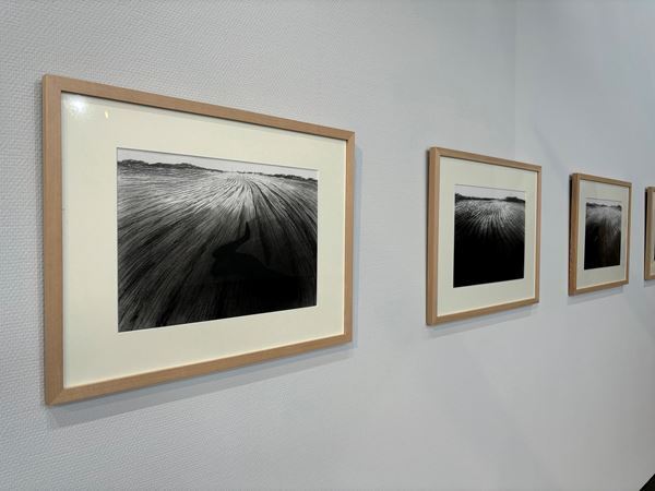 「大地の芸術祭 越後妻有アートトリエンナーレ2024」11月10日まで開催中　9月7日には「大地の運動会」も実施