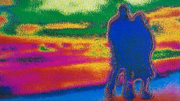 『ヴィム・ヴェンダースの透明なまなざし』開催中　『夢の涯てまでも ディレクターズカット 4Kレストア版』10日間限定上映も