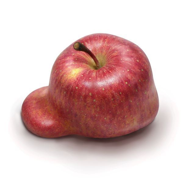 『雨宮庸介展｜まだ溶けてないほうのワタリウム美術館』12月21日から　初期作品から最新のVR作品まで代表作が一堂に