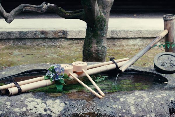 イザベル・ユペールが日本の名所・名宿をめぐる『不思議の国のシドニ』 美麗ロケ地を紹介する場面写真＆本編映像公開