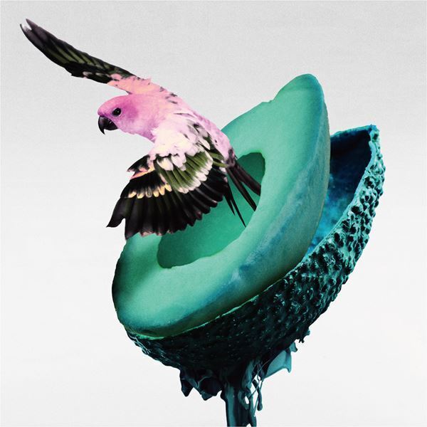 神はサイコロを振らない、新作アクションRPG『FREDERICA』主題歌のMVを今夜プレミア公開