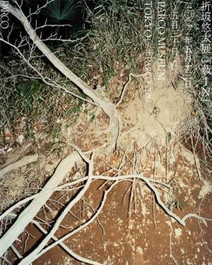 シンガーソングライター・折坂悠太による展覧会『薮IN』5月13日(金)より開催