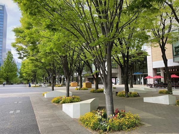 来場無料のイベント『みなとみらいタイフェスティバル2023』が6月に開催