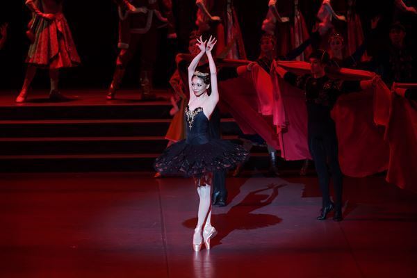 上野水香「いつもと同じようにすべてを懸けるだけ」　東京バレエ団最後の『白鳥の湖』にむけて