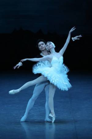 上野水香「いつもと同じようにすべてを懸けるだけ」　東京バレエ団最後の『白鳥の湖』にむけて