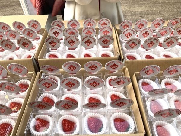 いちごをテーマに過去最大数の店舗が集結！『Yokohama Strawberry Festival2024』レポート