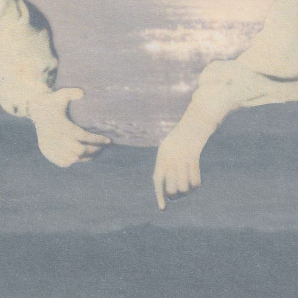 君島大空、本日リリースの3rd EP『袖の汀』より「向こう髪」MV公開