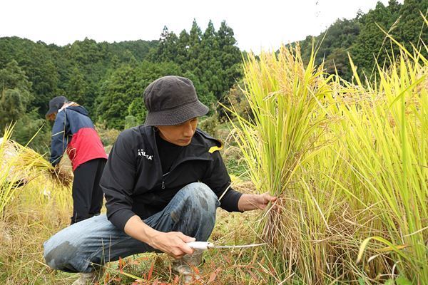 橘ケンチ、コラボ米農園の『収穫祭』にサプライズ初登場