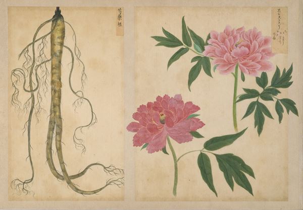 『百草蒔絵薬箪笥と飯塚桃葉』根津美術館で　100種の草虫を蒔絵で描いた薬箪笥を中心に18世紀後半の博物学と美術の様相にも迫る