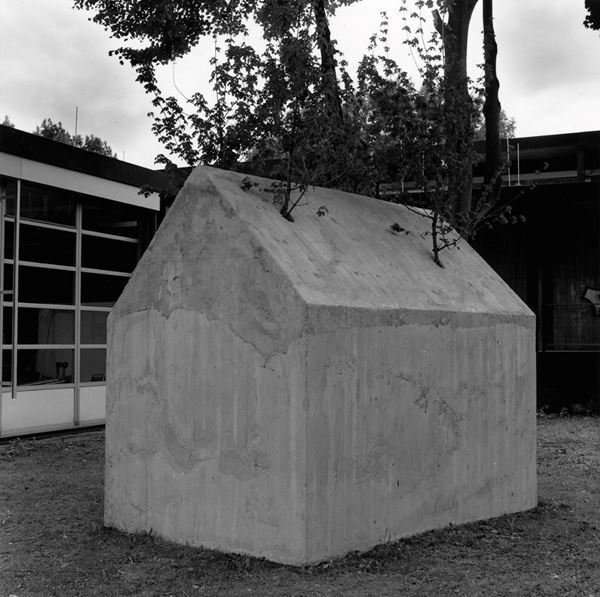 『栗林隆　Roots』神奈川県立近代美術館 葉山で　展示室以外のさまざまな空間で新作インスタレーションを展開