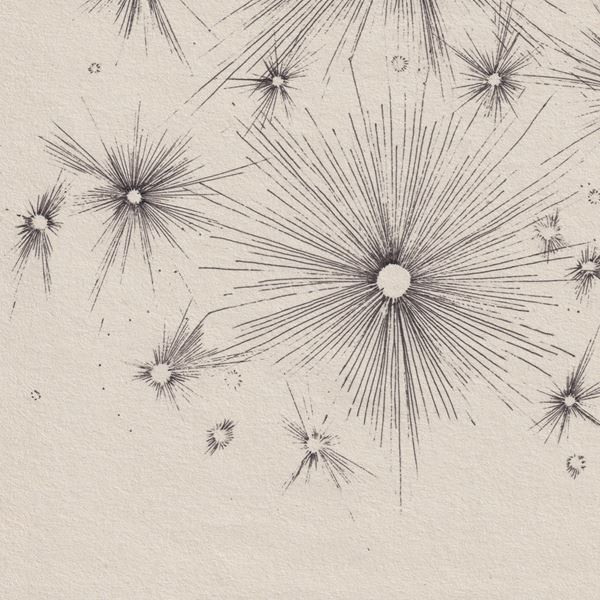 君島大空、本日配信リリースの新曲「光暈(halo)」MV公開「この曲が着くべきところに着けば」