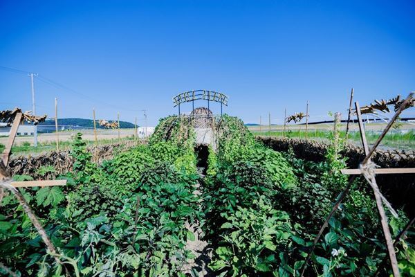 小林武史が総合プロデューサーを務める「百年後芸術祭-内房総アートフェス-」 3月23日より内房総５市を舞台に展開