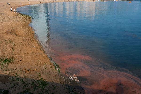 東京都現代美術館『MOT アニュアル2024』12月14日から　“こうふくのしま”をテーマに1980年代生まれの4作家を紹介