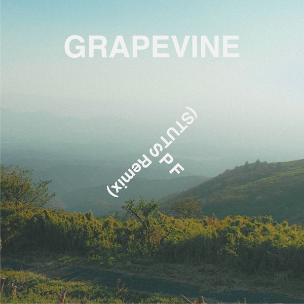 GRAPEVINE、STUTSと高野寛によるリミックス楽曲「SPF (STUTS remix)」「Big tree song(Hiroshi Takano remix)」配信スタート
