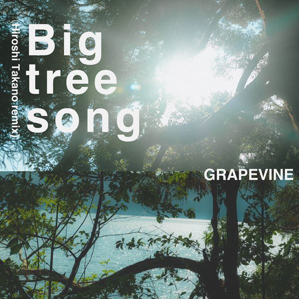 GRAPEVINE、STUTSと高野寛によるリミックス楽曲「SPF (STUTS remix)」「Big tree song(Hiroshi Takano remix)」配信スタート