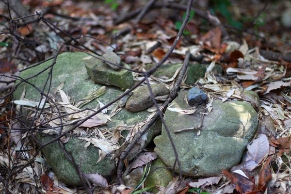 「ふじのくに⇄せかい演劇祭」で安部公房『友達』、瀬戸山美咲演出『楢山節考』など