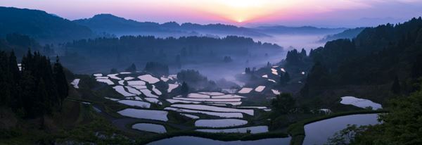 東京都写真美術館で『今森光彦 にっぽんの里山』6月20日から　ライフワークとする「里山」シリーズ約190点を一挙展観