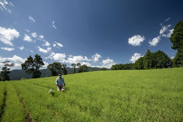 東京都写真美術館で『今森光彦 にっぽんの里山』6月20日から　ライフワークとする「里山」シリーズ約190点を一挙展観