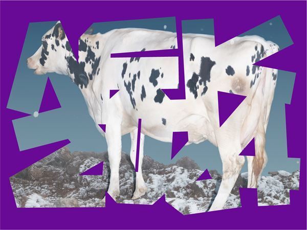 京都を舞台にしたアーティスト主導のアートフェア「ARTISTS’ FAIR KYOTO 2024」3月1日から