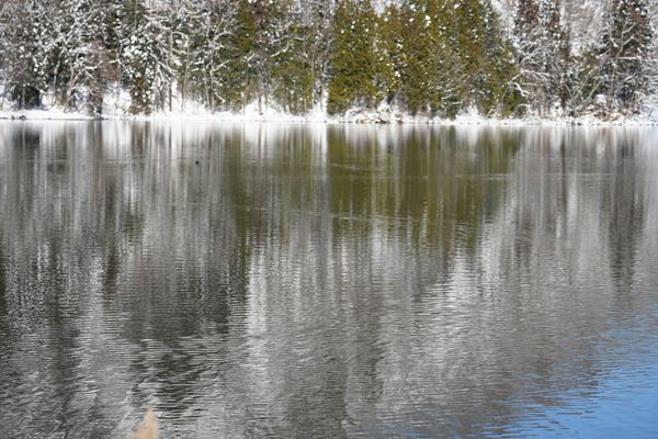 今秋開催「北アルプス国際芸術祭2024」　長野県大町市の5エリアでサイトスペシフィックなアート作品が展開