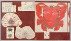 『殿さまのスケッチブック』永青文庫で　細川重賢による多彩な動植物の写生図を33年ぶりに公開