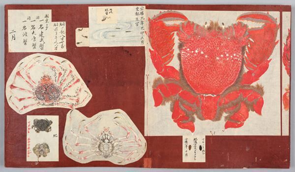 《毛介綺煥(もうかいきかん) 》（部分）江戸時代（18世紀）永青文庫蔵前期展示