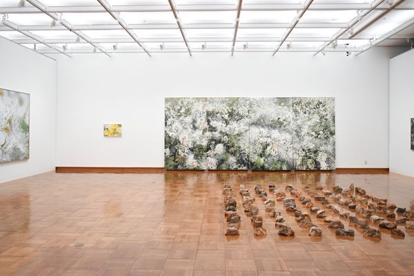 『Nerhol 水平線を捲る』千葉市美術館で開催中　千葉市の花「オオガハス」を用いた新作の展示も