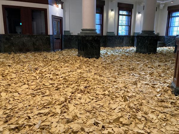 『Nerhol 水平線を捲る』千葉市美術館で開催中　千葉市の花「オオガハス」を用いた新作の展示も