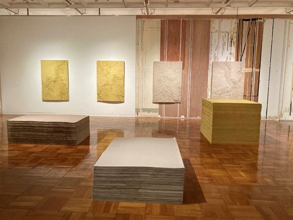 『Nerhol 水平線を捲る』千葉市美術館で開催中　千葉市の花「オオガハス」を用いた新作の展示も