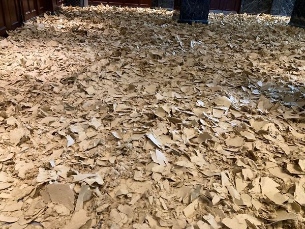 『Nerhol 水平線を捲る』千葉市美術館で開催中　千葉市の花「オオガハス」を用いた新作の展示も