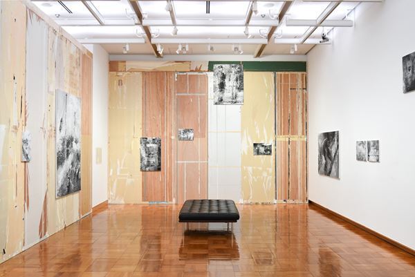 『Nerhol 水平線を捲る』千葉市美術館で開催中　千葉市の花「オオガハス」を用いた新作の展示も