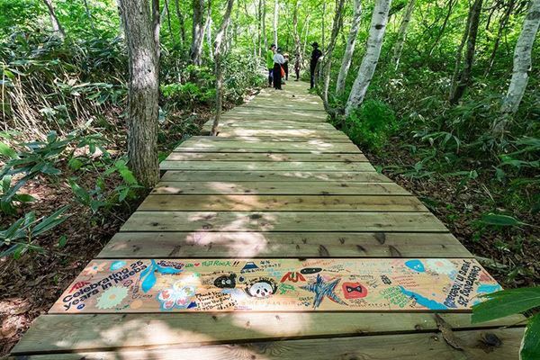 『フジロック'24』開催前最後となるボードウォークキャンプの実施が決定