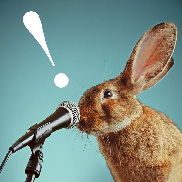 ハンブレッダーズ、新曲「アクション！」デジタル・リリース＆リスナーからMV に使用する動画を募集