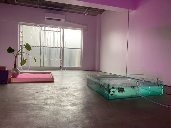 『渡辺志桜里　宿/Syuku』展、資生堂ギャラリーで　代表作《Sans room》や新作能の映像インスタレーションを展示