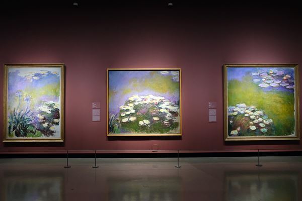『モネ 睡蓮のとき』展示の模様をレポート　史上最多の〈睡蓮〉に没入する体験を